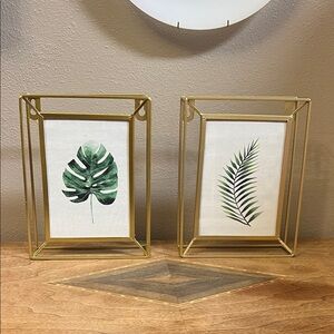 Gold Framed Botanical Art Prints